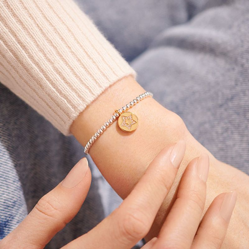 Armbånd FRIENDS LIKE YOU ARE FAR AND FEW A Little Joma Jewellery
