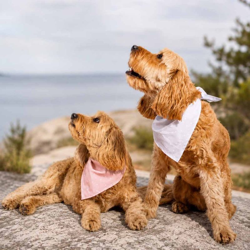 Gavesett bandana & scrunchie sett grå Katie Loxton
