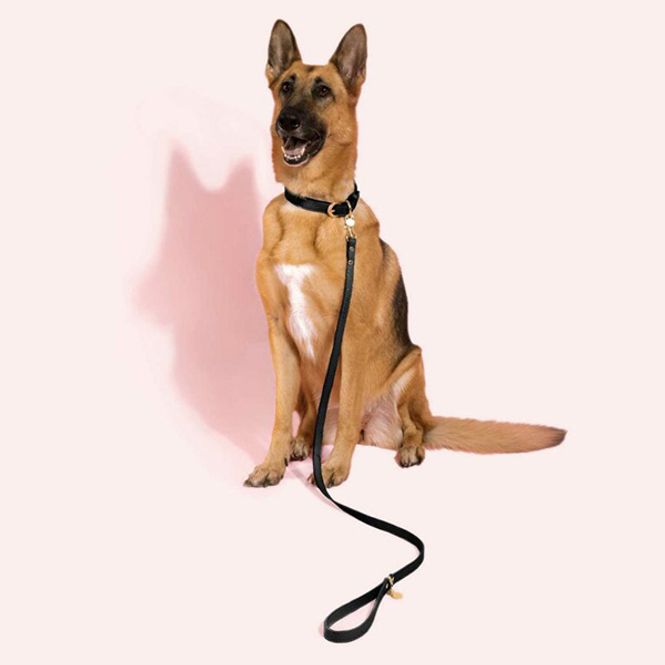 Hovedbilde Hundebånd PAW-FECT WALKIES svart Katie Loxton