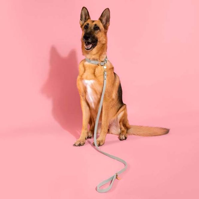 Hovedbilde Hundebånd PAW-FECT WALKIES grå Katie Loxton